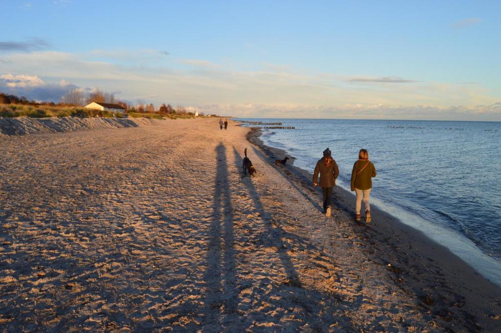 two people walking on a beach with a dog at Ferienhof Kruse Wohnung 8 in Grömitz