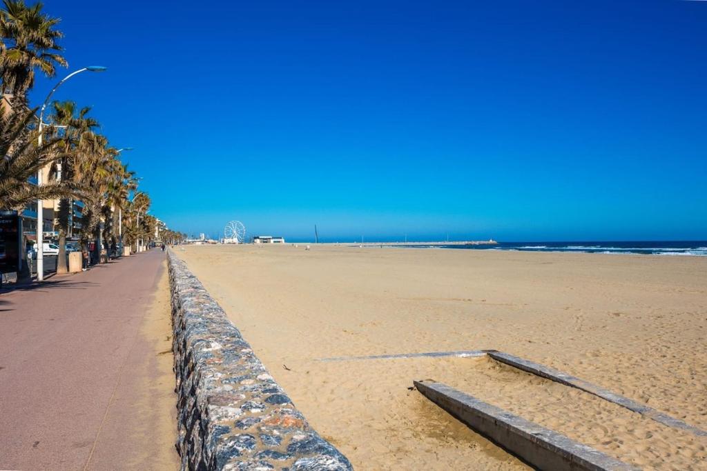a sandy beach with palm trees and the ocean at Le Sublime-100m de la plage-Cozy-Refait à Neuf ! in Canet-en-Roussillon