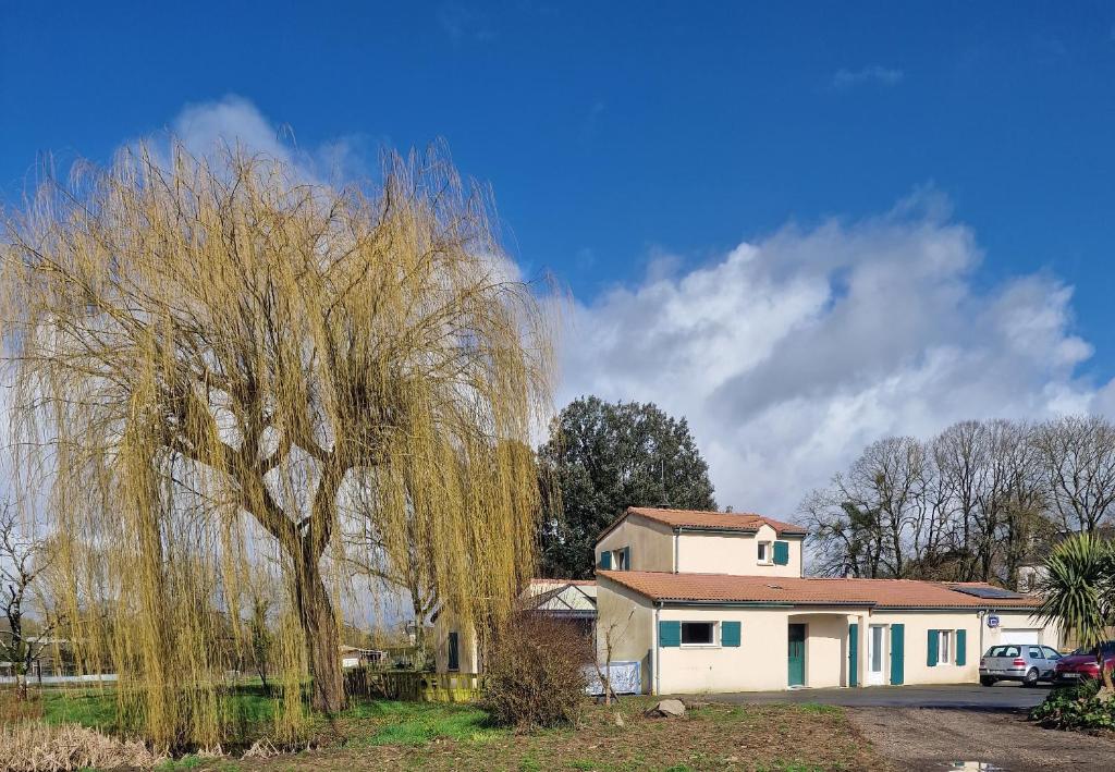 651729019.jpg?k=2e5ecb90ce1cf585c735d072488f663e4dfefca86745f37e38caaf1d022004c2&o=