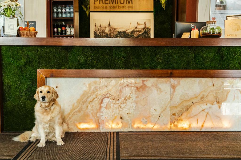 PREMIUM Business Hotel Bratislava - Resim 44