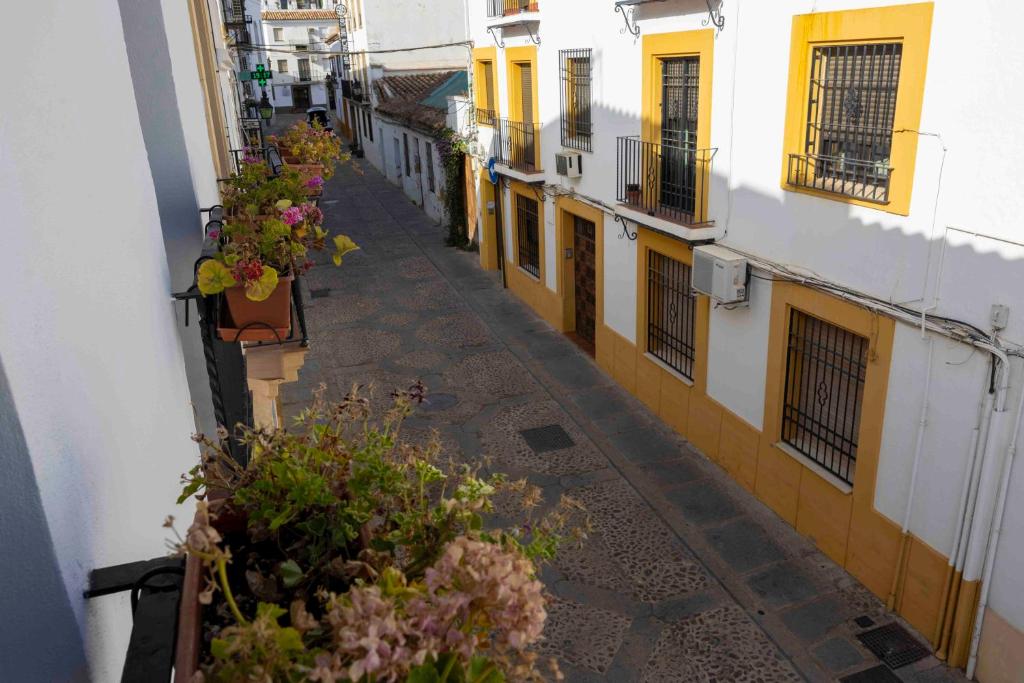 MiRa San Basilio - 4