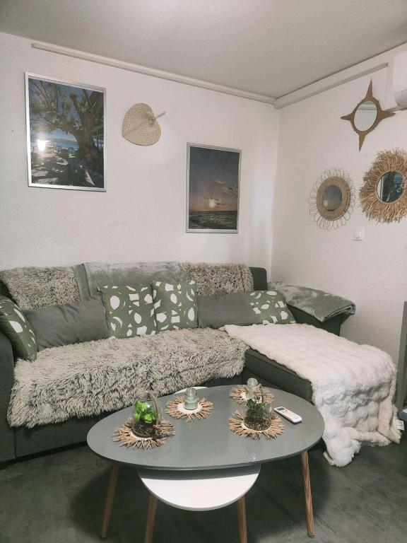 un salon avec un canapé et une table dans l'établissement Résidence Antigua - T2 Climatisé avec wifi MAE-8121, au Barcarès