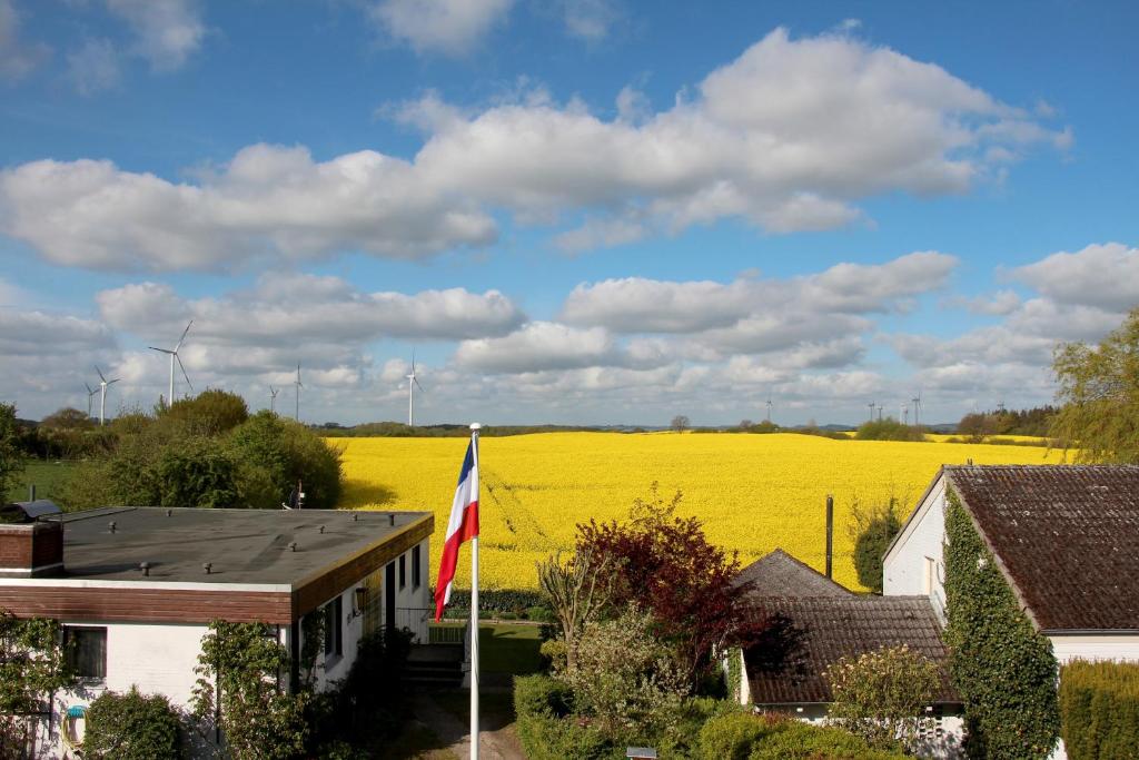 a house with a flag in front of a rapeseed field at Ostseebrise in Grömitz