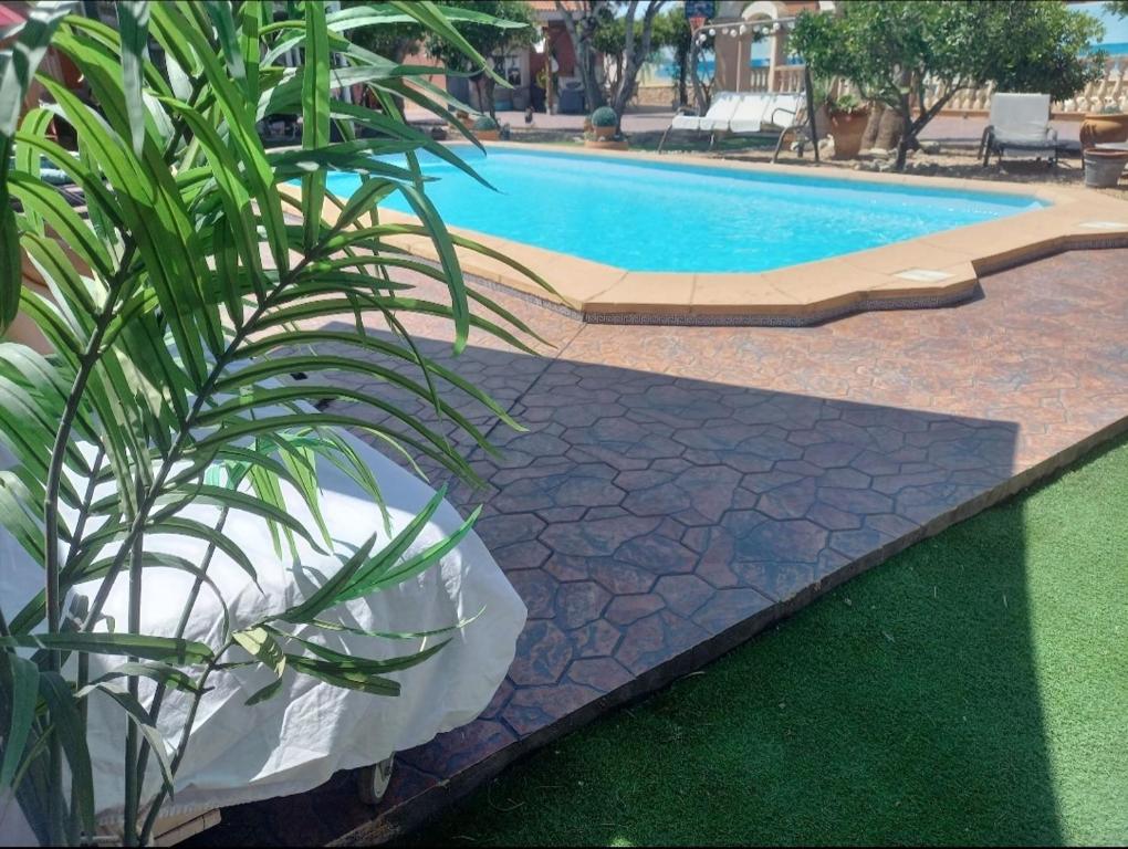 a potted plant sitting next to a swimming pool at Acogedor y tranquilo in Marratxí 