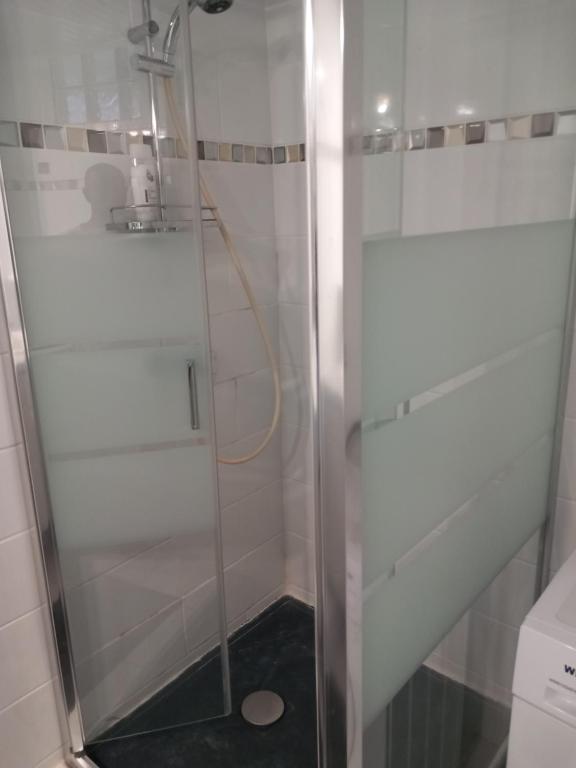 une douche avec une porte vitrée dans une salle de bain dans l'établissement La source bis, Mer et source d'eau chaude, à Bouillante