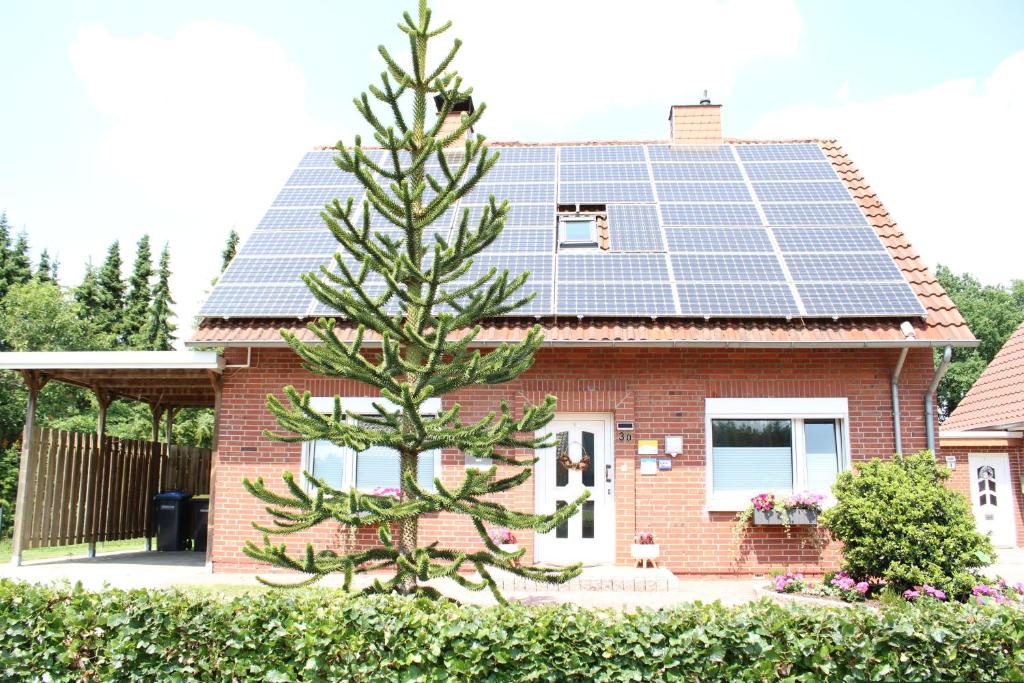 a house with a christmas tree in front of a solar roof at Angelikas Ferienparadies Anni EG in Haselünne