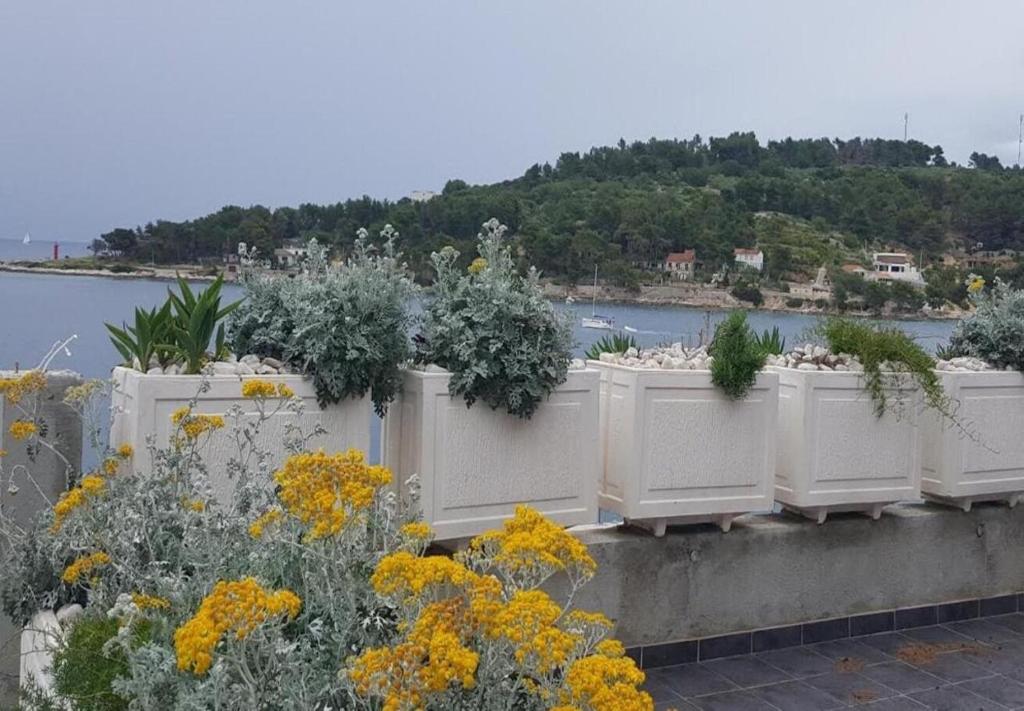 Fotografie z fotogalerie ubytování Apartments Mlad v destinaci Rogač