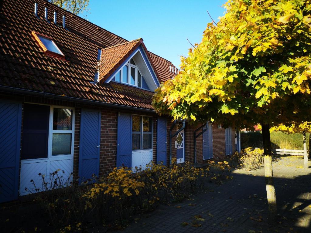 a blue house with a tree in front of it at Harmonie in Prerow