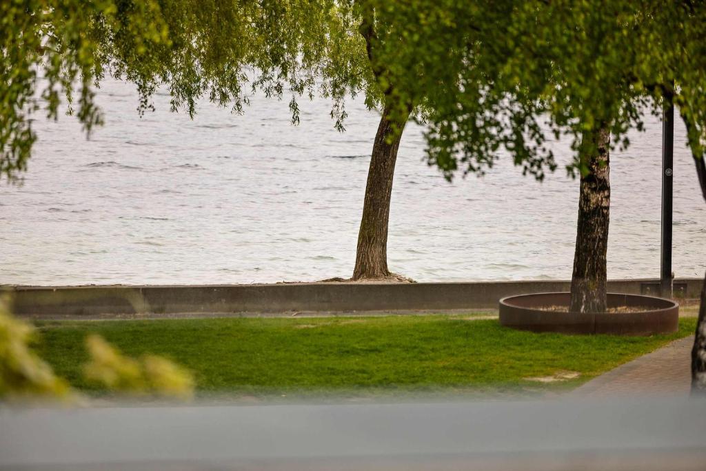 Creighton 1 Lake & Mountain View Apt - Resim 5