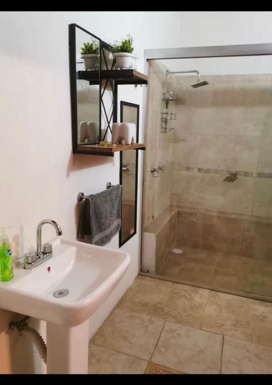 a bathroom with a sink and a shower at Cabañas Tapalpa la laja in Los Espinos