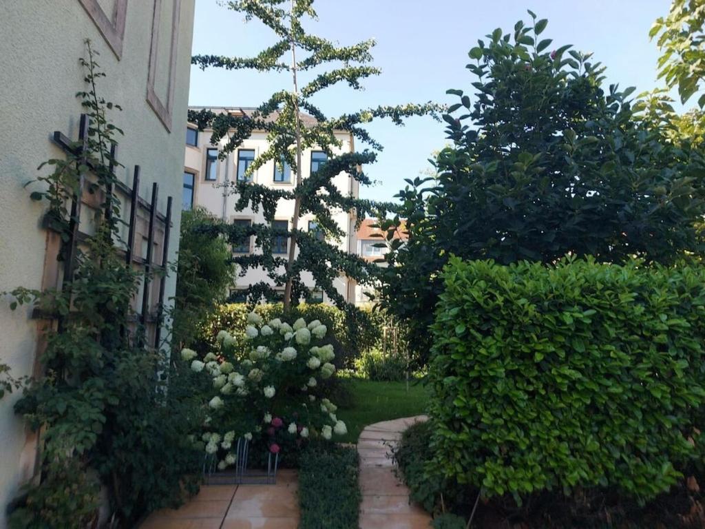 Zahrada ubytování Villa Lebensart Comfortable holiday residence