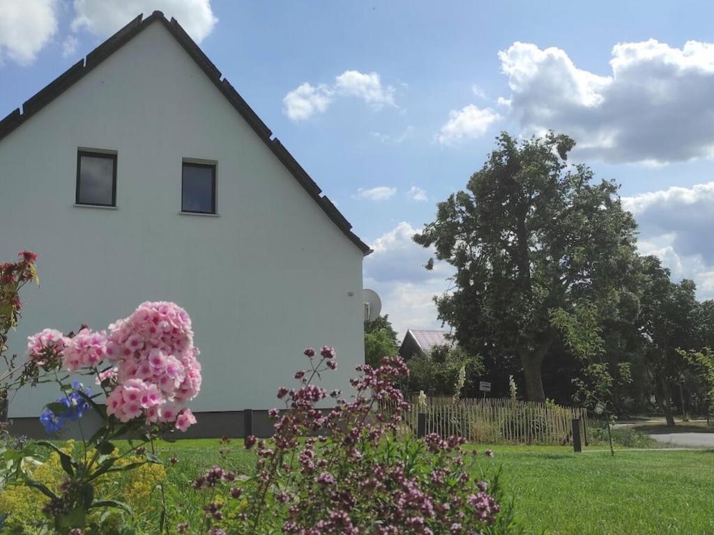 a white house with pink flowers in a yard at Holiday apartment on the Storchenradweg in Ketzür