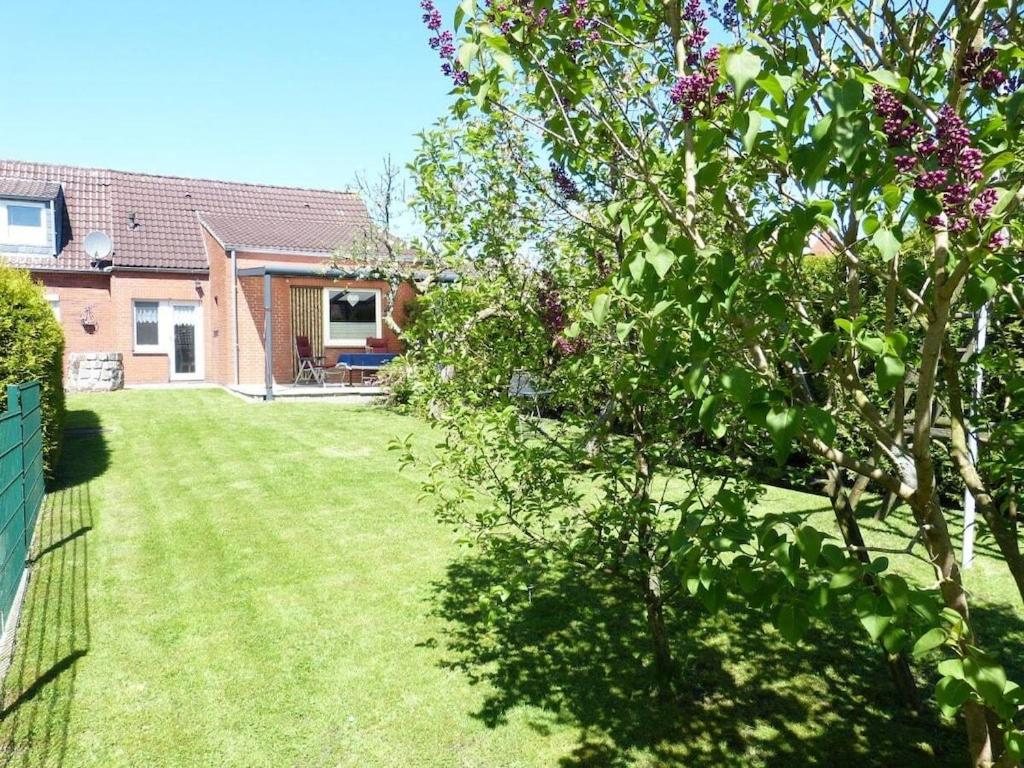 a yard of a house with a tree at At the Leaning Tower Comfortable holiday residence in Suurhusen