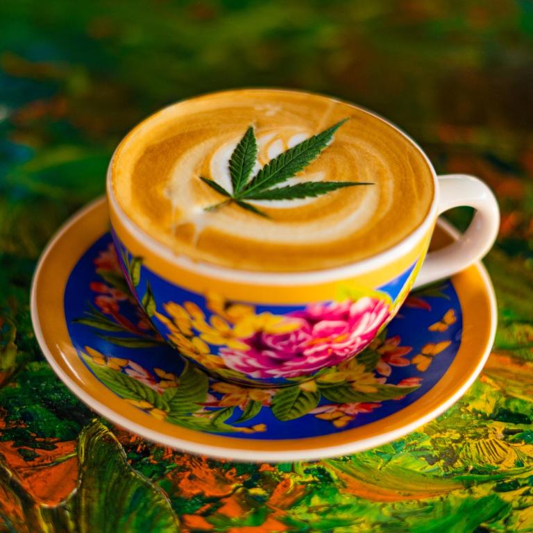 Utensilios para hacer té y café en Santiago Dc Hostal 420 weedfriendly