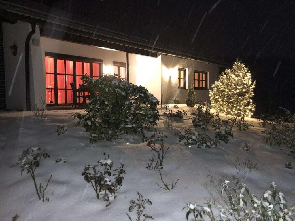 a house with a christmas tree in the snow at Apartment Grünsberg Comfortable holiday residence in Grünsberg