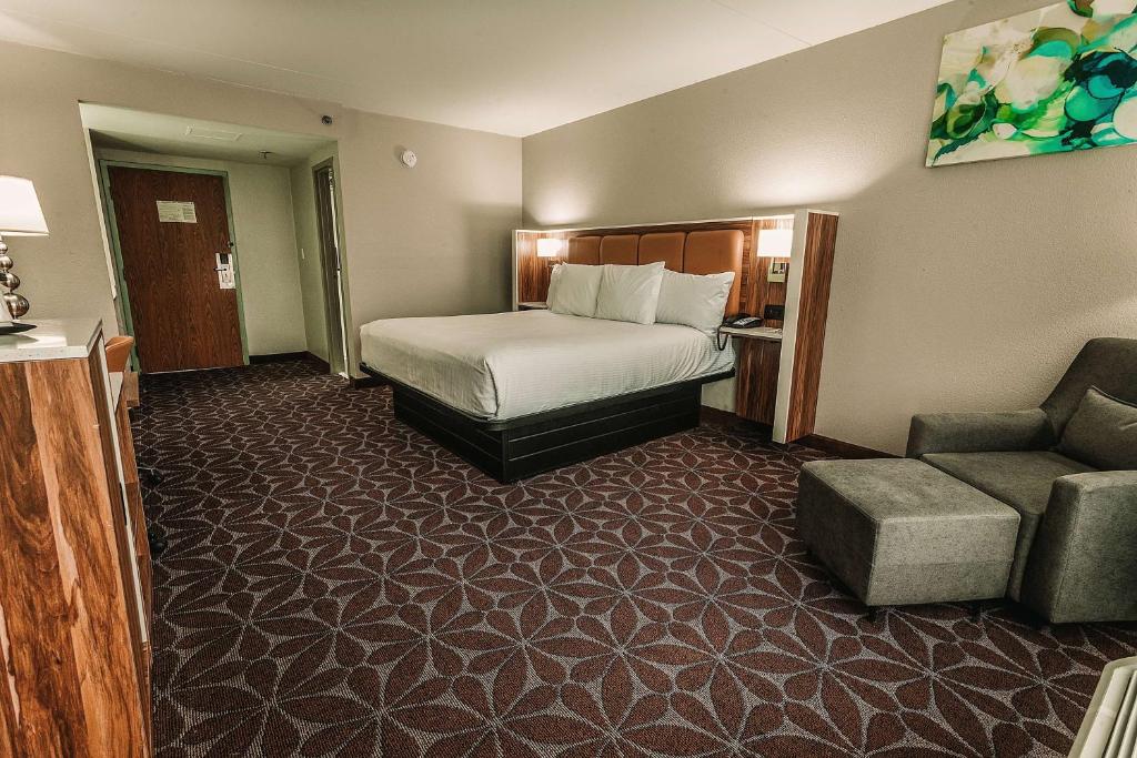 Wyndham Garden Williamsburg Busch Gardens Area - King Room