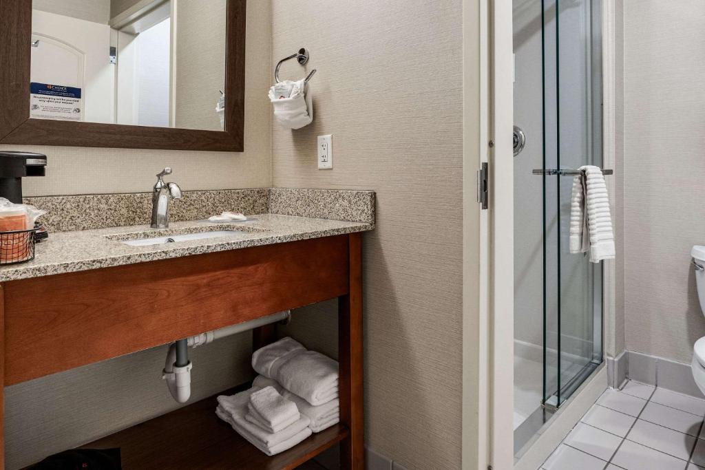 Koupelna v ubytování Comfort Inn & Suites Logan Near University