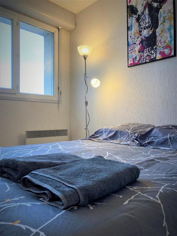 une chambre avec un lit avec une couverture dessus dans l'établissement Appartement double 8 à Limoges, à Limoges