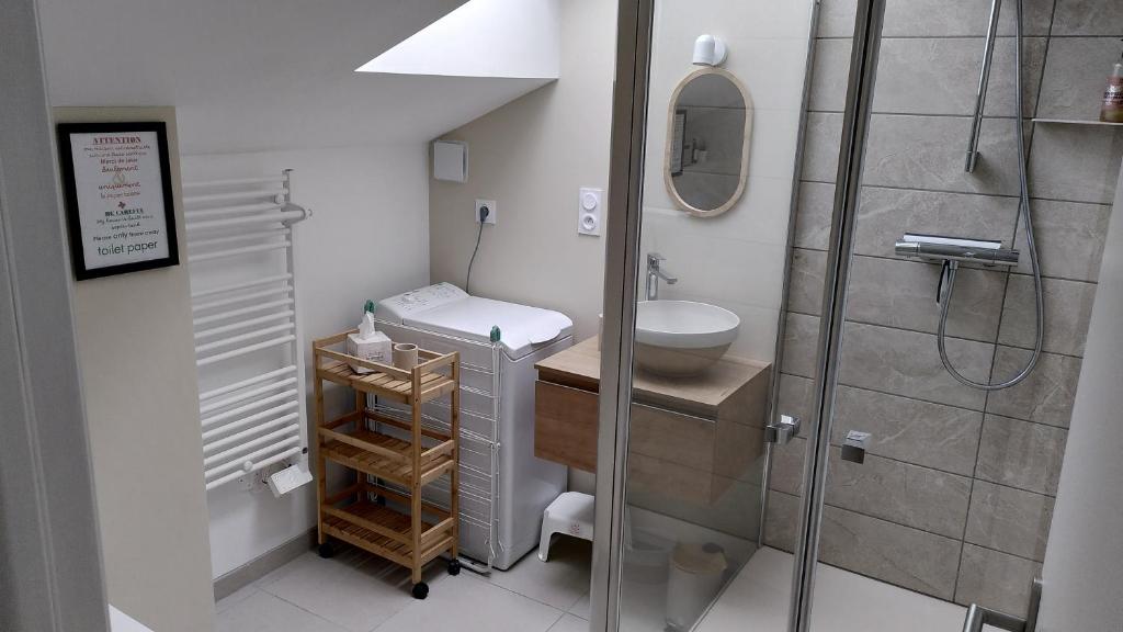 une salle de bains avec douche, toilettes et lavabo dans l'établissement Gîte Le Nid aux Papillons, à Palinges