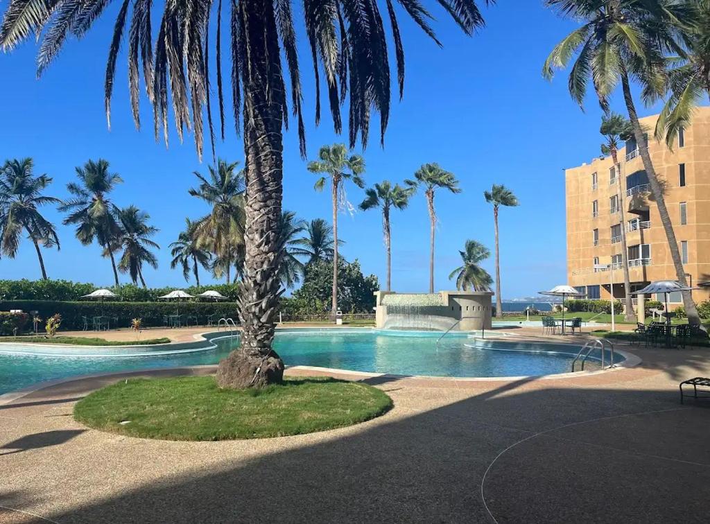 a palm tree sitting next to a swimming pool at Apto Vip acceso a la playa in El Morro de Barcelona
