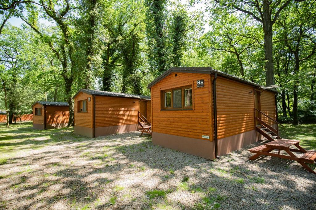 Vonkajšia záhrada v ubytovaní River Park