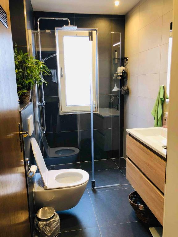 a bathroom with a toilet and a shower and a sink at Dalhausen, Am Schönste Aussicht in Beverungen