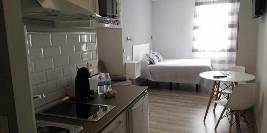 Kuchyňa alebo kuchynka v ubytovaní Apartamentos Harmonia
