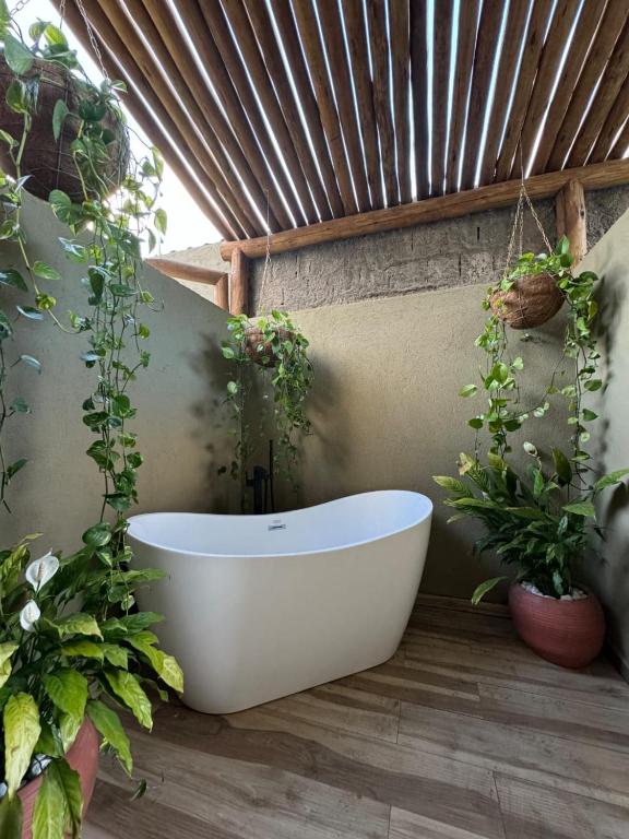 Aed väljaspool majutusasutust Malie Bangalô - Beach Tênnis - Sauna - Praia de Tabuba, Alagoas