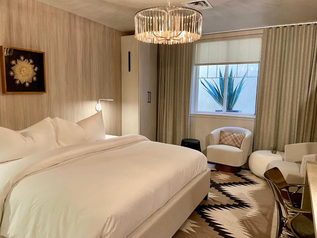 Palace Modern Hotel at the Plaza - Habitación Deluxe Con Cama Extragrande