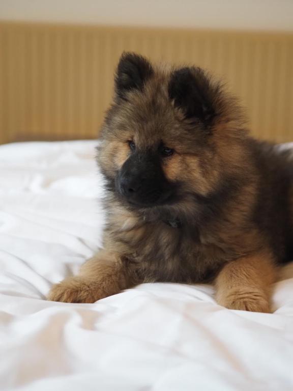 JOST Hôtel Lille Centre - Resim 39