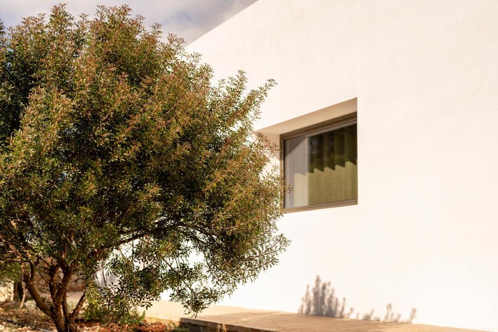 Fotografie z fotogalerie ubytování Botanico Villa & Suites v destinaci Specchiolla