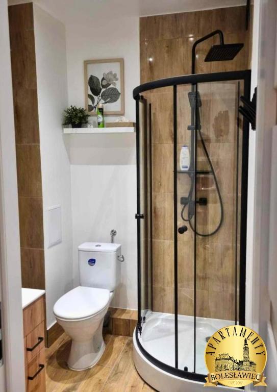 Kúpeľňa v ubytovaní Apartamenty Bolesławiec Prusa