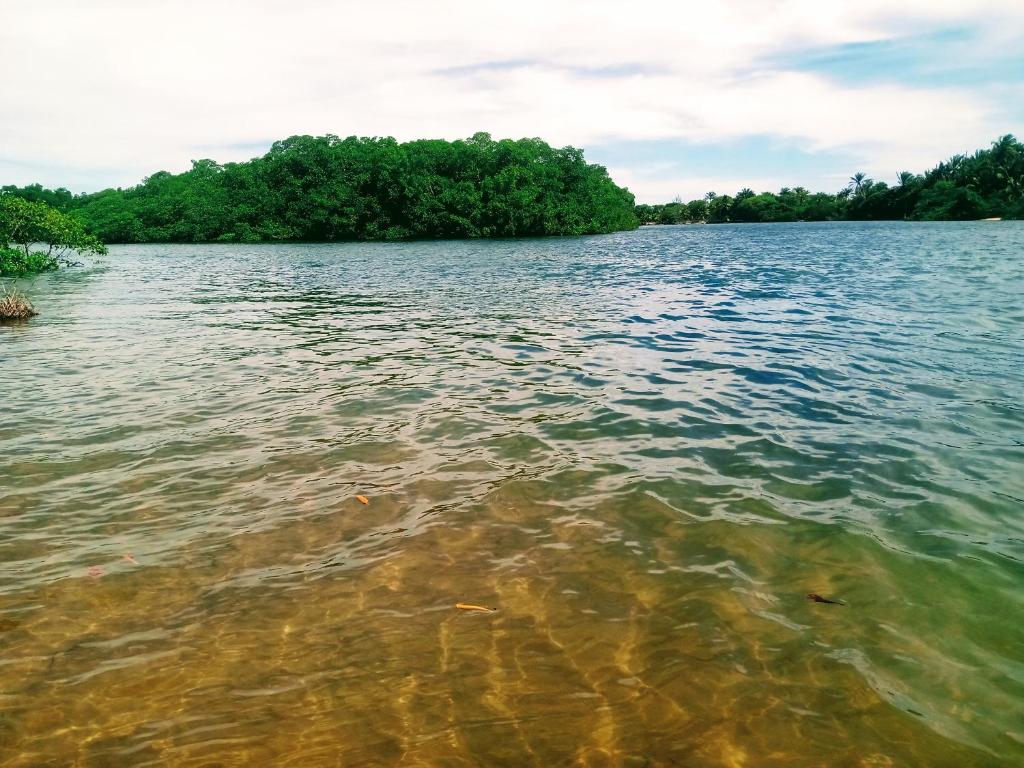 a large body of water with trees in the background at River House in Marau