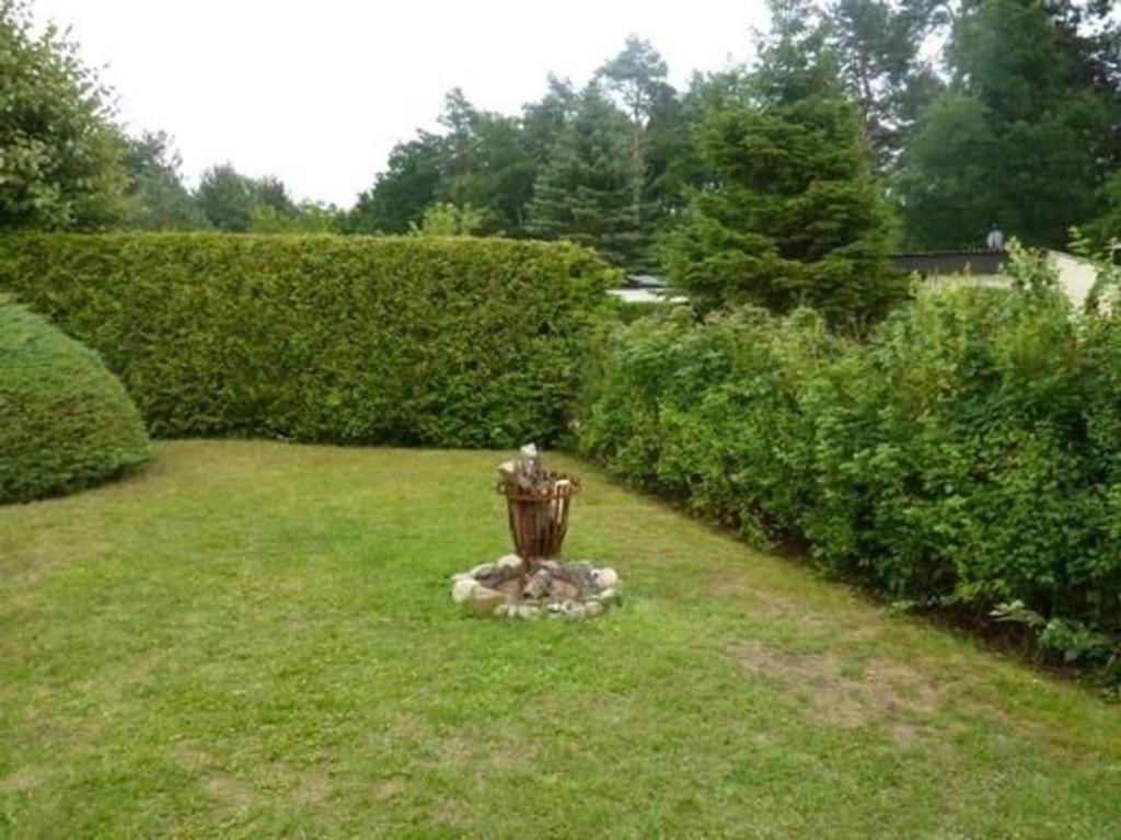 Zahrada ubytování Bungalow Mecklenburgische Seenplatte
