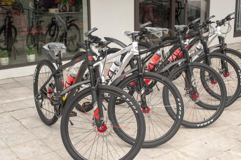 Jízda na kole v ubytování Ma Pi Leng Horizon Hostel - Tour & Motobike rental nebo okolí