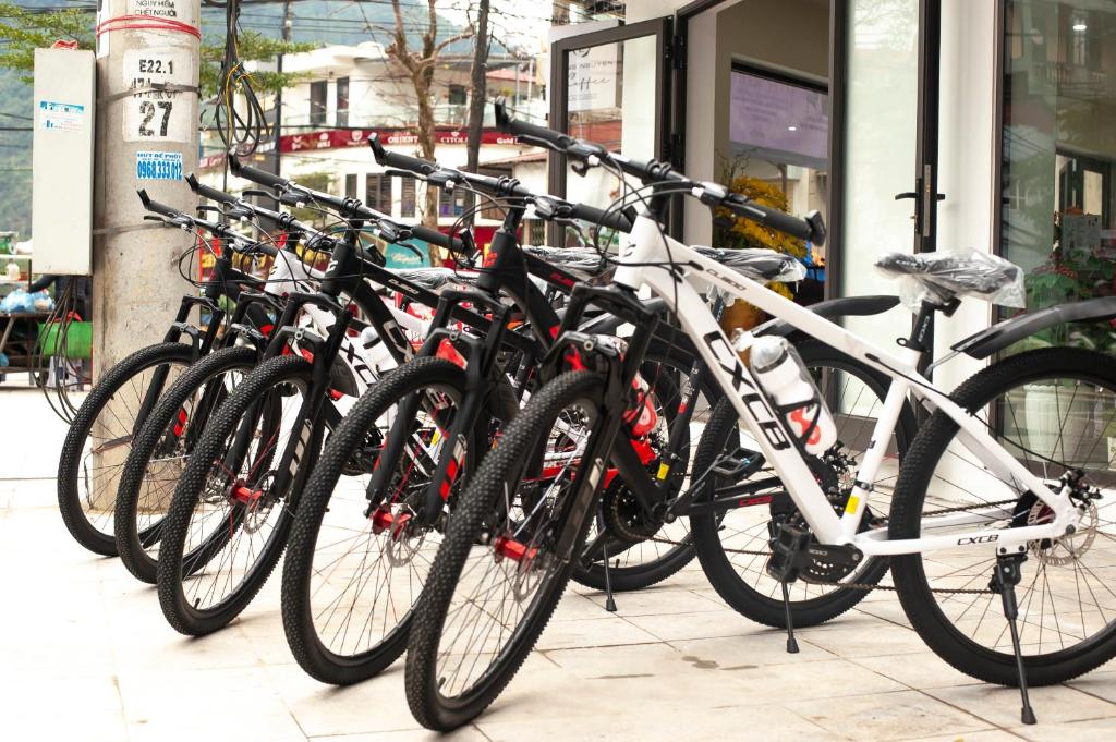 Jízda na kole v ubytování Ma Pi Leng Horizon Hostel - Tour & Motobike rental nebo okolí