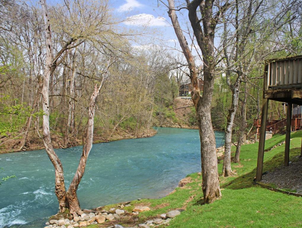 a view of a river with trees in the foreground at Henderson's Riverside in Pigeon Forge