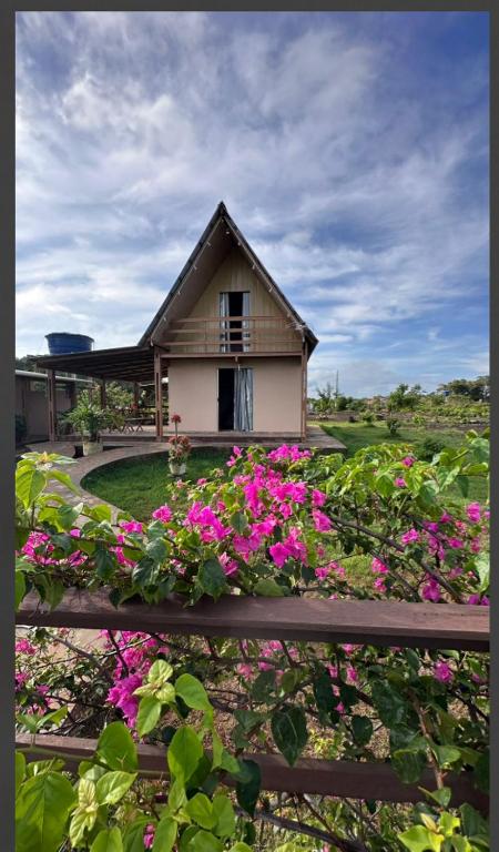 a house with pink flowers in front of it at Chalé da Lourdes in Santarém