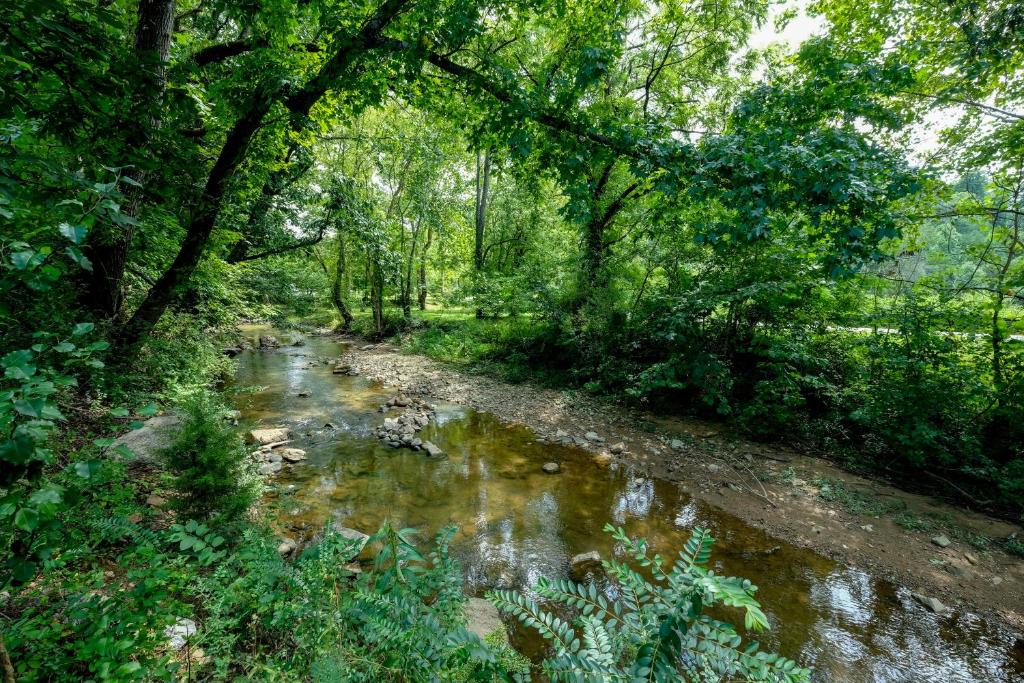 a stream in the middle of a forest with trees at Lee's Creekside in Pigeon Forge