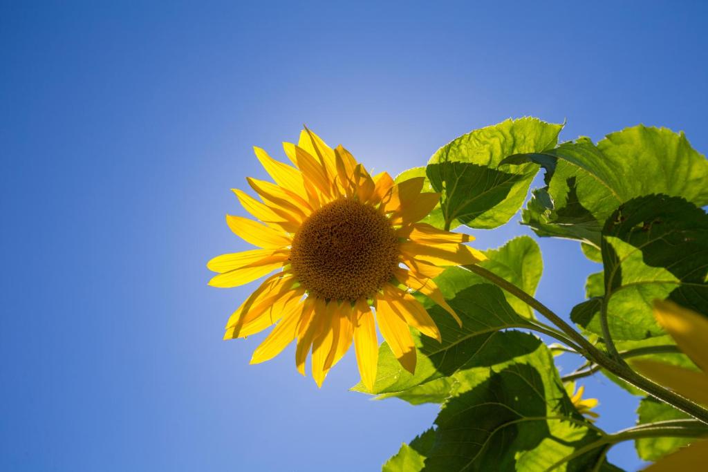 Middle Park Motel - Resim 14