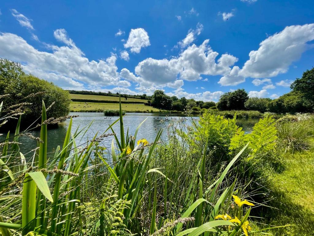 Loodusmaastik puhkemaja lähedal