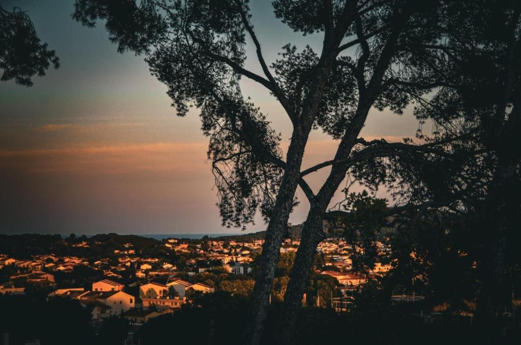 un arbre au coucher du soleil devant une ville dans l'établissement La Solane - Grande maison sous les pins, à Six-Fours-les-Plages