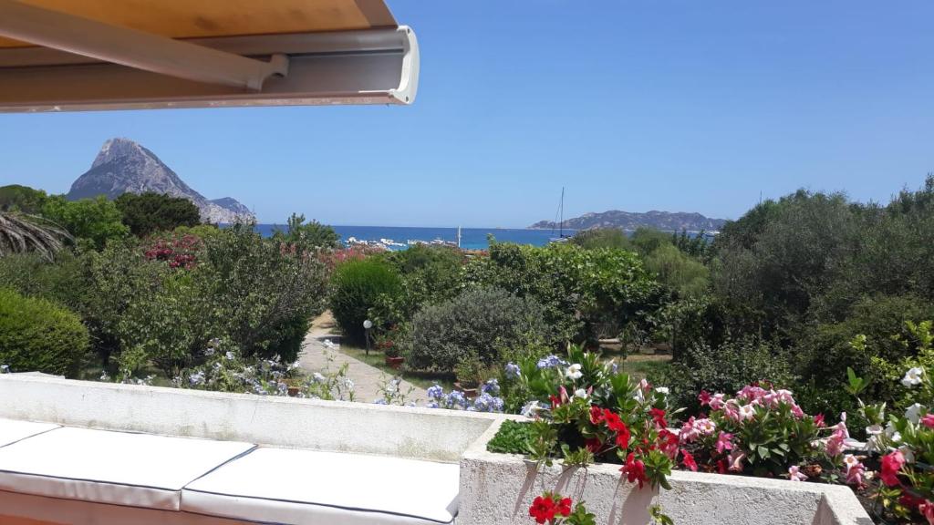 Fotografie z fotogalerie ubytování Casa Lentisco v destinaci Porto Taverna
