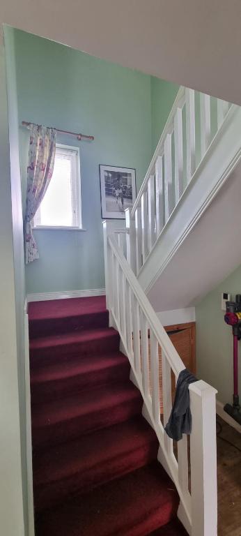a staircase in a house with red carpeting and a window at 17 DB property in Wexford