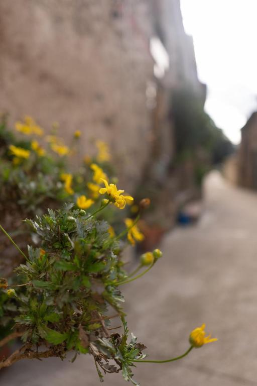 Fotografie z fotogalerie ubytování Masia Cal Fuster v destinaci Joanet