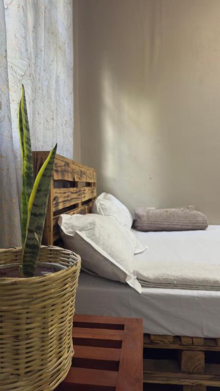 a bedroom with a bed and a plant in a basket at Kilimanjarosons homestay in Moshi
