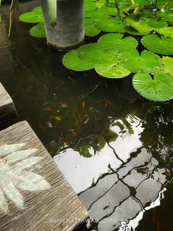 Fotografie z fotogalerie ubytování บ้านณัฐวรรณ หัวหิน - Baan Nattawan Huahin v destinaci Hua Hin