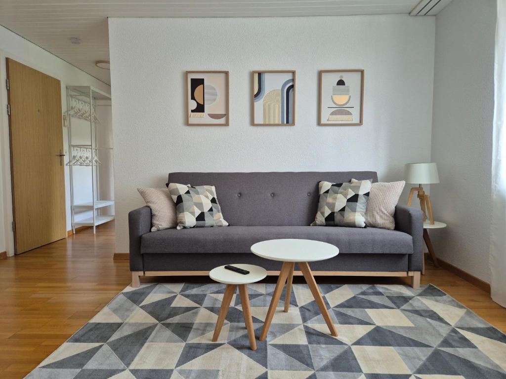 Posezení v ubytování Apartment for 3, close to Zurich and Luzern, free private parking