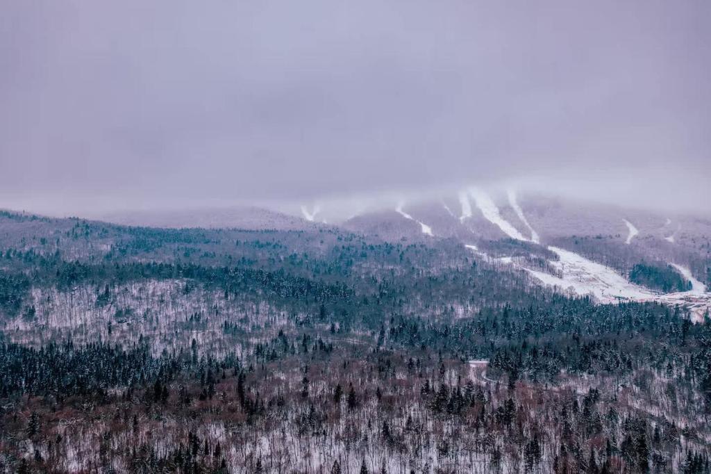 Příroda nedaleko chaty
