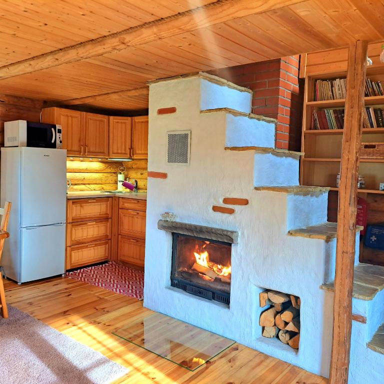 Kuchyň nebo kuchyňský kout v ubytování Lootuse Spa